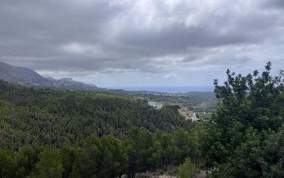  Plot in Callosa de Ensarriá- WI150301 - Photo - Small - 7