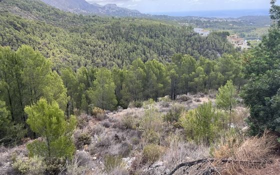  Plot in Callosa de Ensarriá- WI150301 - Photo - Small - 18