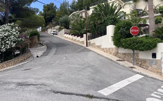  Plot in Callosa de Ensarriá- WI150301 - Photo - Small - 16
