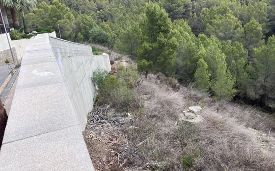  Plot in Callosa de Ensarriá- WI150301 - Photo - Small - 17