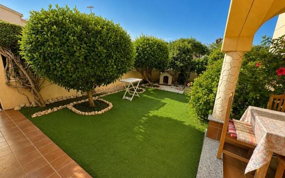 2 bedroom Bungalow in Orihuela Costa - CT150305 - Photo - Small - 13