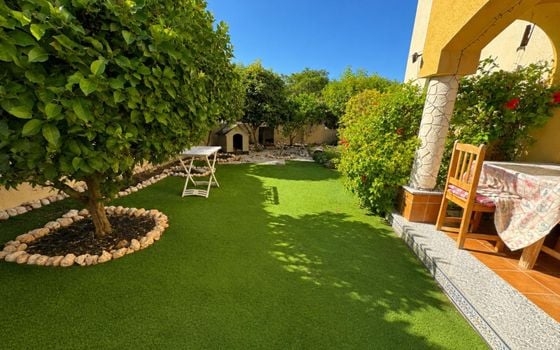 2 bedroom Bungalow in Orihuela Costa - CT150305 - Photo - Small - 12