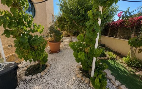 2 bedroom Bungalow in Orihuela Costa - CT150305 - Photo - Small - 15