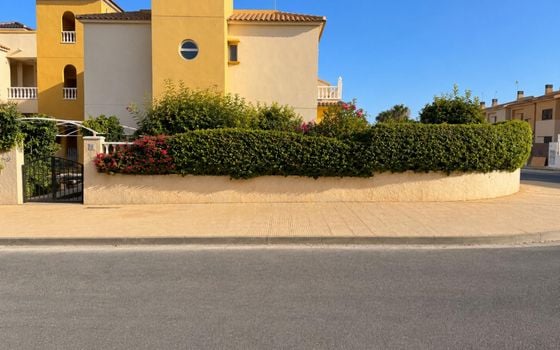 2 bedroom Bungalow in Orihuela Costa - CT150305 - Photo - Small - 16