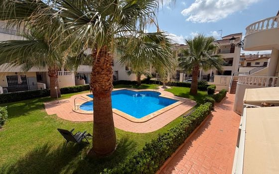 Apartamento de 2 habitaciones en Jacarilla - CSW150442 - Foto - Small - 21