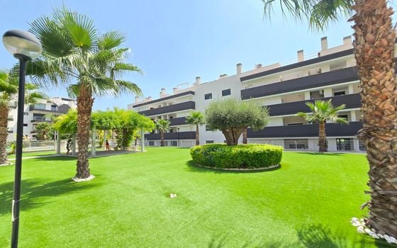 2 bedroom Apartment in Villamartin - DSR150546 - Photo - Small - 20