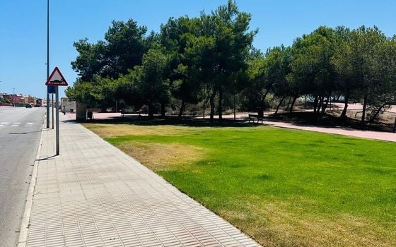 Bungalov   v Orihuela Costa, 2 ložnice - CRR150593 - Foto - Small - 17