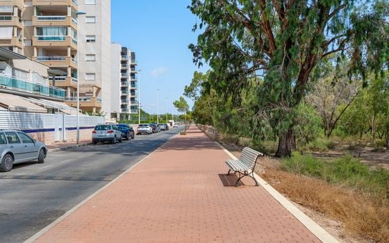 3 bedroom Apartment in Guardamar del Segura - CBW150603 - Photo - Small - 43