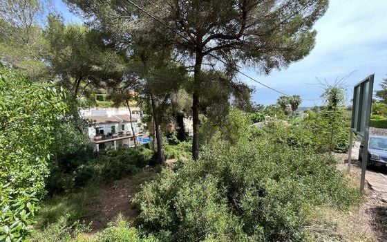 Parcela de  en Jávea- AG150667 - Foto - 4