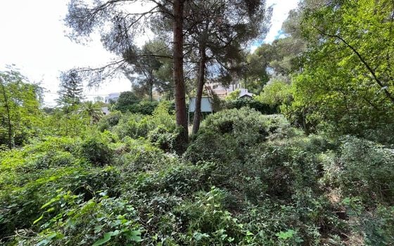 Parcela de  en Jávea- AG150667 - Foto - 2