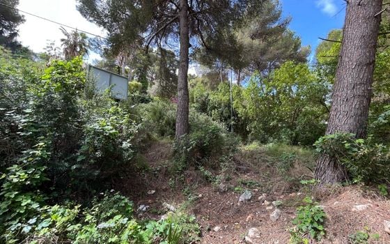 Parcela de  en Jávea- AG150667 - Foto - Small - 9