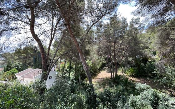 Parcela de  en Jávea- AG150667 - Foto - Small - 10