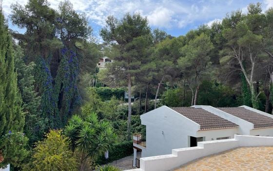 Parcela de  en Jávea- AG150667 - Foto - Small - 11