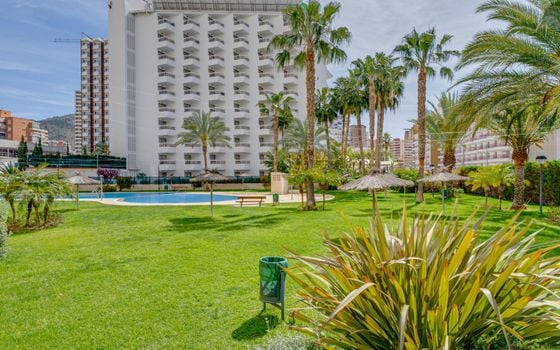 1 bedroom Apartment in Benidorm - AG150817 - Photo - Small - 34