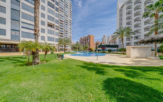1 bedroom Apartment in Benidorm - AG150817 - Photo - Small - 37