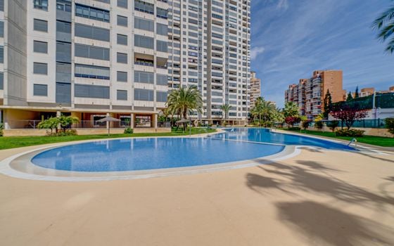 1 bedroom Apartment in Benidorm - AG150817 - Photo - 2