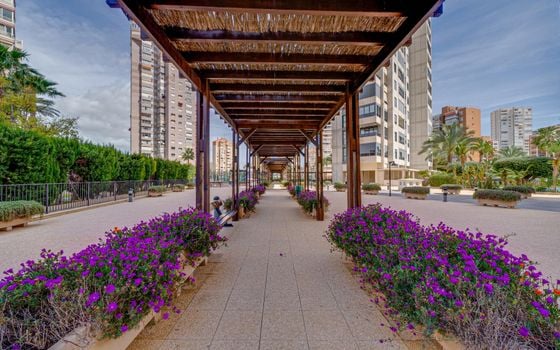 1 bedroom Apartment in Benidorm - AG150817 - Photo - Small - 31