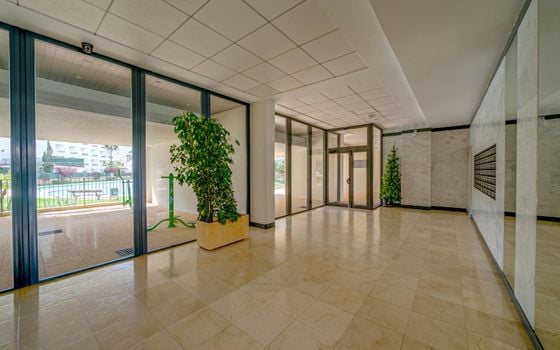 1 bedroom Apartment in Benidorm - AG150817 - Photo - Small - 24