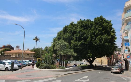 Apartman Alicante, 24 hálószoba - AG150850 - Fénykép - Small - 8