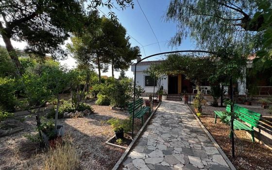 4 Schlafzimmer Villa in San Vicente del Raspeig - AG150883 - Foto - Small - 47