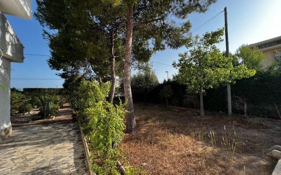 4 Schlafzimmer Villa in San Vicente del Raspeig - AG150883 - Foto - Small - 45
