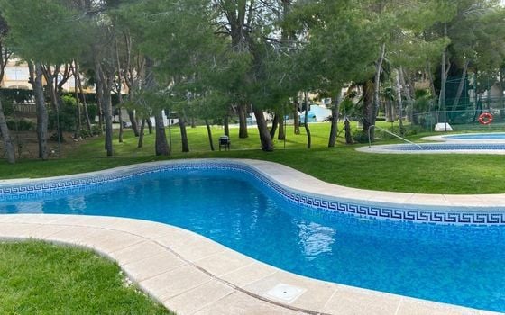 3 bedroom Apartment in Orihuela Costa - AG150902 - Photo - Small - 35