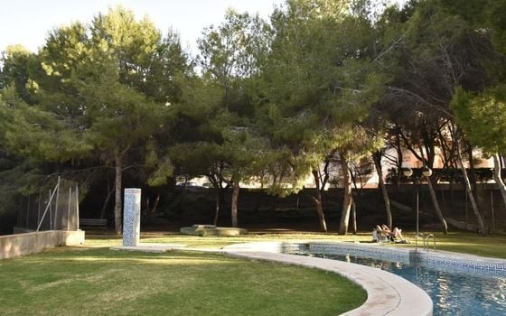 3 bedroom Apartment in Orihuela Costa - AG150902 - Photo - Small - 34