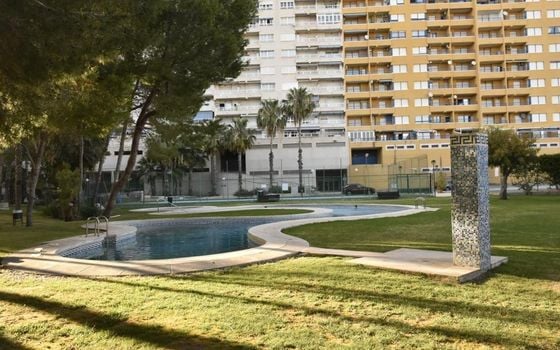 3 bedroom Apartment in Orihuela Costa - AG150902 - Photo - Small - 36