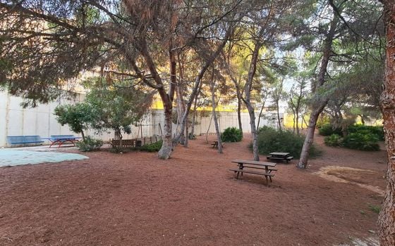 3 bedroom Apartment in Orihuela Costa - AG150902 - Photo - Small - 32