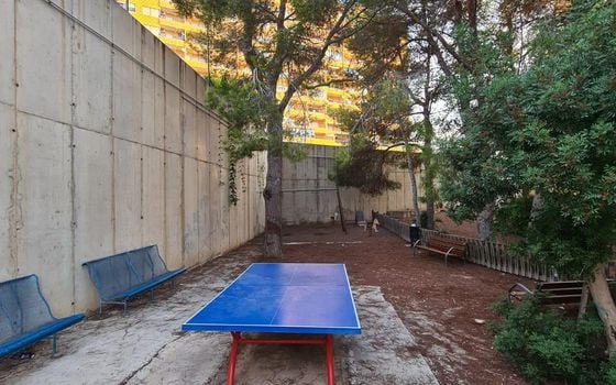 3 bedroom Apartment in Orihuela Costa - AG150902 - Photo - Small - 31