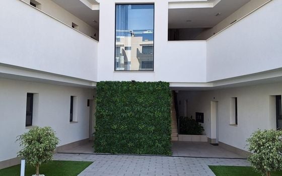 2 bedroom Apartment in San Miguel de Salinas - AG150993 - Photo - Small - 26