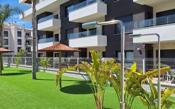 2 bedroom Apartment in San Miguel de Salinas - AG150993 - Photo - Small - 28