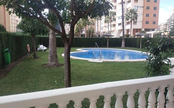2 bedroom Apartment in Benidorm - AG151170 - Photo - 1