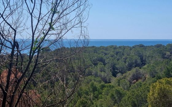  Plot in Altea- AG151218 - Photo - 2