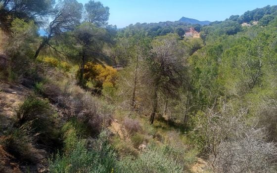  Plot in Altea- AG151218 - Photo - Small - 6