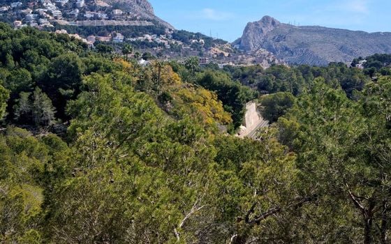 Plot in Altea- AG151218 - Photo - Small - 7