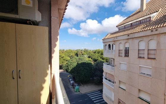 2 bedroom Apartment in Torrevieja - AG151416 - Photo - Small - 18