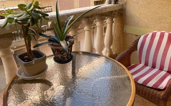 2 bedroom Apartment in Torrevieja - AG151431 - Photo - Small - 14