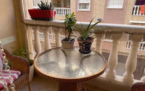 2 bedroom Apartment in Torrevieja - AG151431 - Photo - Small - 15