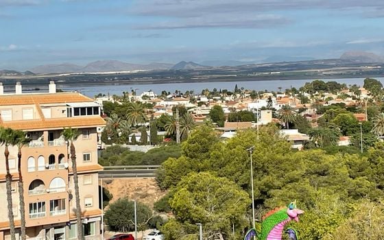 2 bedroom Apartment in Torrevieja - AG151431 - Photo - Small - 26