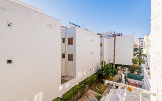 Appartement de 2 chambres à Torrevieja - AG151453 - Photo - Small - 17