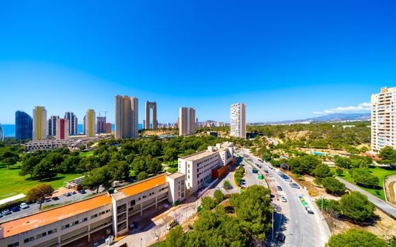 2 bedroom Apartment in Benidorm - AG151493 - Photo - Small - 24