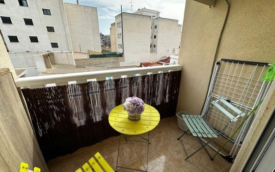 2 bedroom Apartment in Torrevieja - AG151499 - Photo - Small - 17