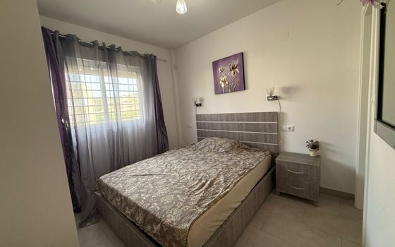 Bungalow de 2 chambres à Torrevieja - AG151524 - Photo - Small - 11