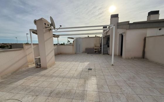 Bungalow de 2 chambres à Torrevieja - AG151524 - Photo - Small - 18