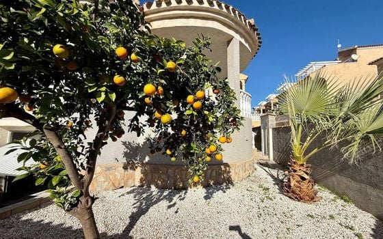 4 bedroom Villa in Playa Flamenca - AG151526 - Photo - 3