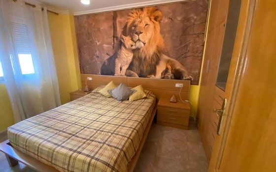 2 bedroom Apartment in Torrevieja - AG151544 - Photo - Small - 7