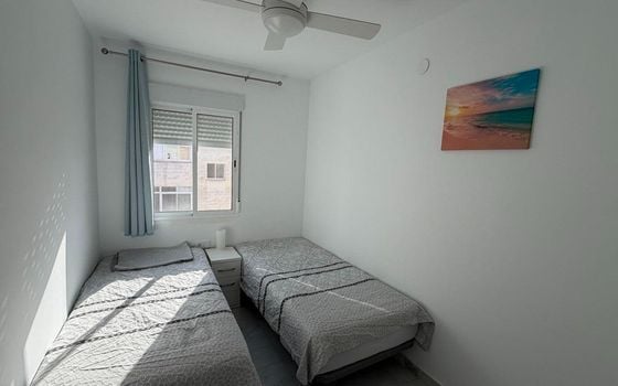 Apartamento de 3 habitaciones en Torrevieja - AG151567 - Foto - Small - 15