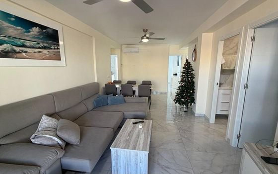 3 bedroom Apartment in Torrevieja - AG151567 - Photo - 4