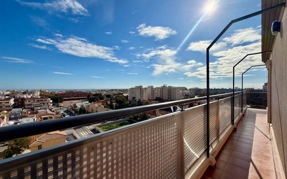 Penthouse de 1 chambre à Torrevieja - AG151590 - Photo - Small - 26
